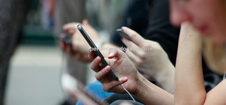 Belanja Online, Harga Diskon, Pertanian, Produk Pertanian, Murah, Pertanian Indonesia